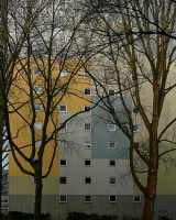 Trees-with-a-house II